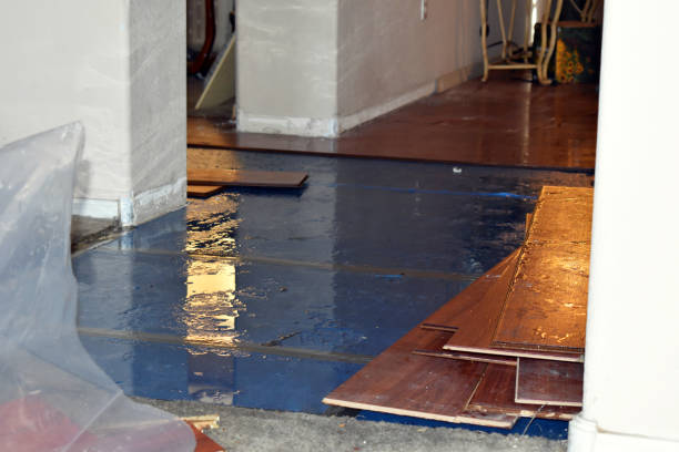 Professional Basement Flood Cleanup technician working in Southport, CT